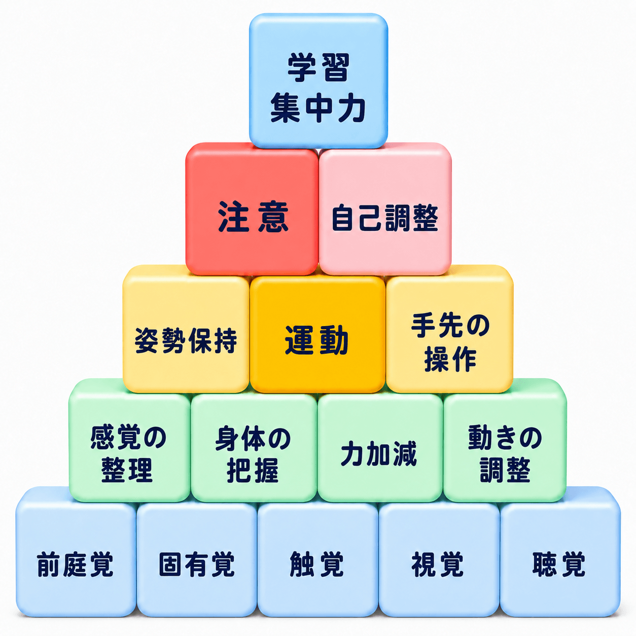 発達のピラミッド